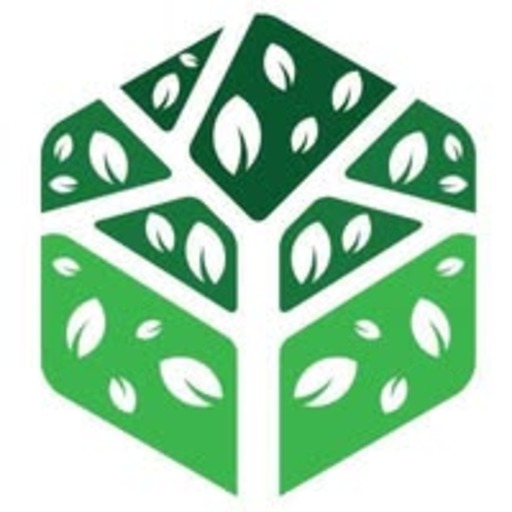 McNulty Counseling & Wellness